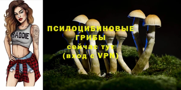 MDMA Premium VHQ Белоозёрский